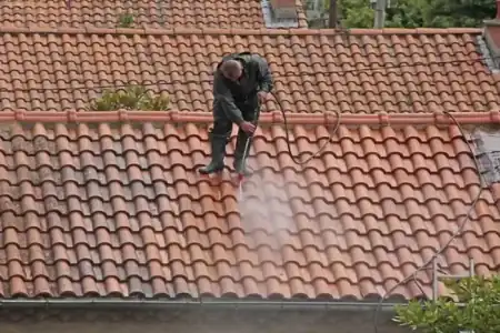 Nettoyage et démoussage de toiture à Baurech à Baurech